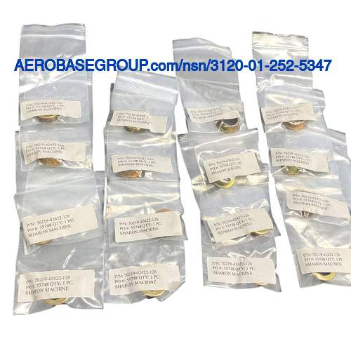 Bild der nationalen Bestandsnummer  3120-01-252-5347